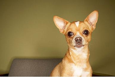 《MX vs. ATV：传奇》5月25日发售 登陆多平台